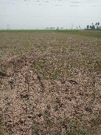  Agricultural Land for Sale in Burdwan-i Block, Bardhaman