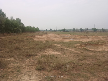  Agricultural Land for Sale in Ausgram II, Bardhaman