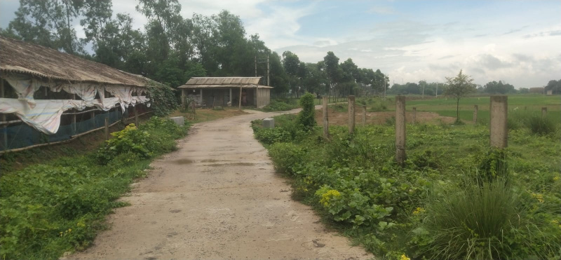  Agricultural Land 5 Bigha for Sale in Burdwan-i Block, Bardhaman