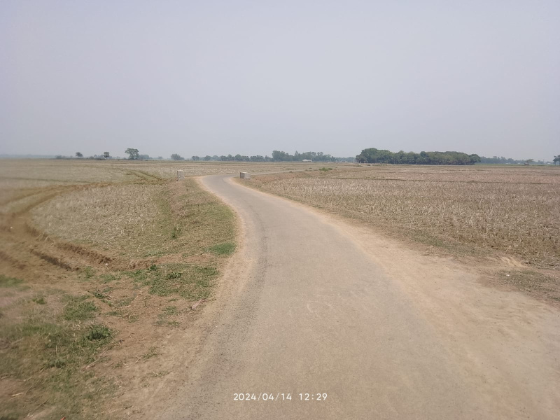  Agricultural Land 3 Bigha for Sale in Mirzapur, Bardhaman