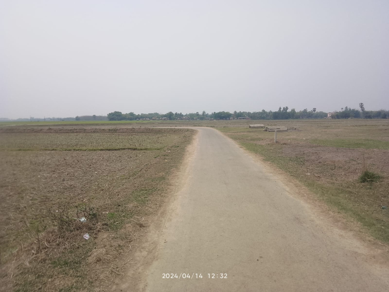  Agricultural Land 3 Bigha for Sale in Mirzapur, Bardhaman