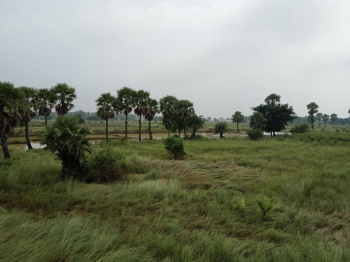  Agricultural Land for Sale in Mirzapur, Bardhaman