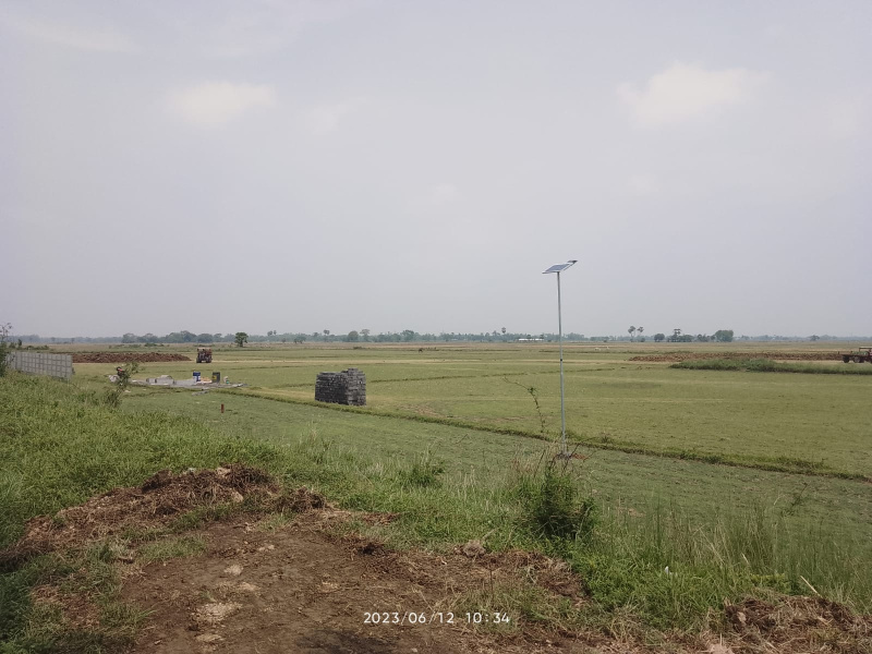  Agricultural Land 25 Bigha for Sale in Mirzapur, Bardhaman