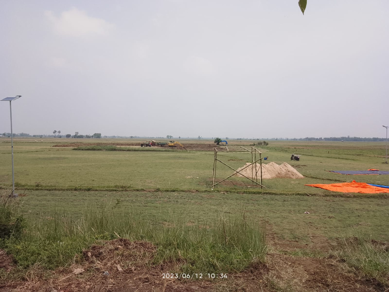  Agricultural Land 25 Bigha for Sale in Mirzapur, Bardhaman