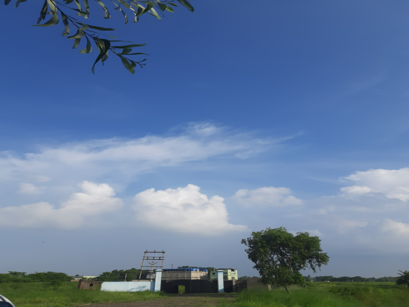  Industrial Land 18 Bigha for Sale in Haldi, Bardhaman