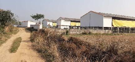  Agricultural Land for Sale in Orgram, Bardhaman