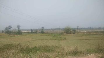  Agricultural Land for Sale in Ausgram, Bardhaman