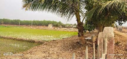  Agricultural Land for Sale in Ausgram, Bardhaman
