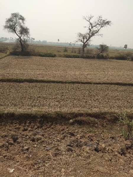  Agricultural Land 20 Bigha for Sale in Burdwan-i Block, Bardhaman