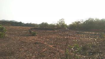  Agricultural Land for Sale in Colva, South Goa, 