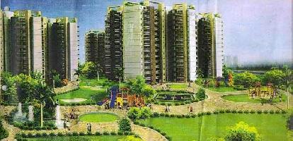 3 BHK Flat for Rent in Sector 10A Gurgaon