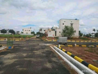  Residential Plot for Sale in Chennamanayakkanpatti, Dindigul