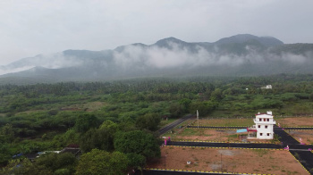  Commercial Land for Sale in Sirumalai Hills, Dindigul