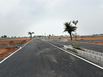  Residential Plot for Sale in Balakrishnampatti, Dindigul