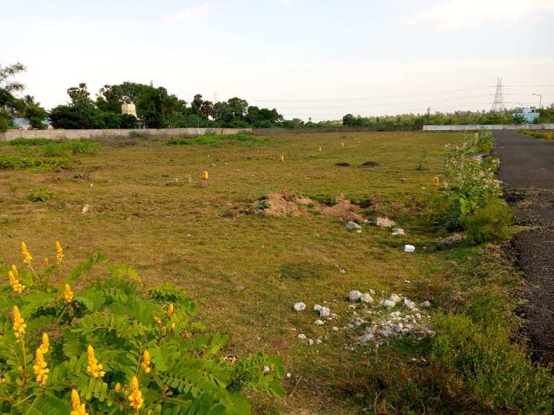 Agricultural Land 2 Bigha for Sale in Kamrej, Surat