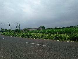  Agricultural Land for Sale in Parli, Beed