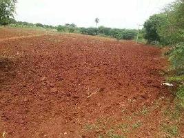  Agricultural Land for Sale in Melur Road, Madurai