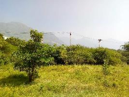  Industrial Land for Sale in Chinnalapatti, Dindigul