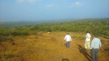  Agricultural Land for Sale in Dapoli Camp, Ratnagiri