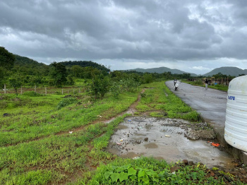  Agricultural Land for Sale in Mangaon, Raigad