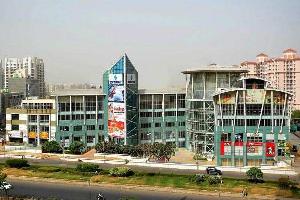  Commercial Shop for Rent in Golf Course Road, Gurgaon