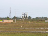 Residential Plot for Sale in Ankuli, Berhampur