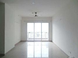1 BHK Flat for Rent in Noida Extension, Greater Noida