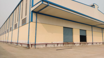  Warehouse for Rent in Rohad Industrial Area, Bahadurgarh