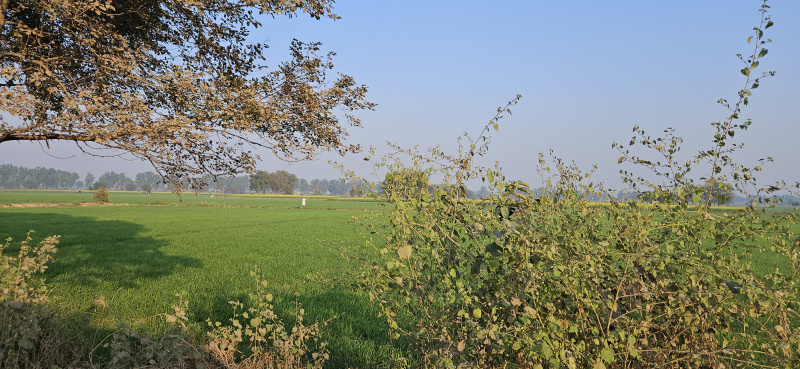  Industrial Land 20000 Sq. Meter for Sale in Kharkhoda, Sonipat