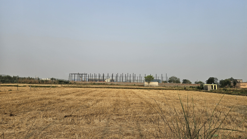  Warehouse 120000 Sq.ft. for Rent in Rohad Industrial Area, Bahadurgarh