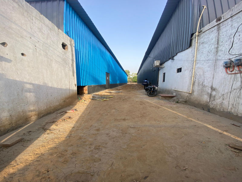  Factory 12000 Sq.ft. for Rent in DLF Chattarpur Farms