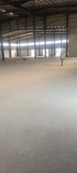  Warehouse for Rent in Dharuhera, Rewari