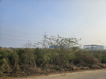  Industrial Land for Sale in Rohad Industrial Area, Bahadurgarh