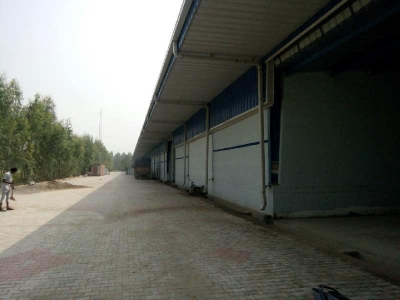 Warehouse 150000 Sq.ft. for Rent in Sikri, Faridabad