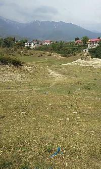  Residential Plot for Sale in Palampur, Kangra