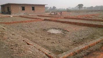  Residential Plot for Sale in Noida Extension, Greater Noida