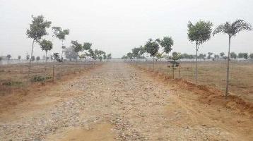  Residential Plot for Sale in Pari Chowk, Greater Noida