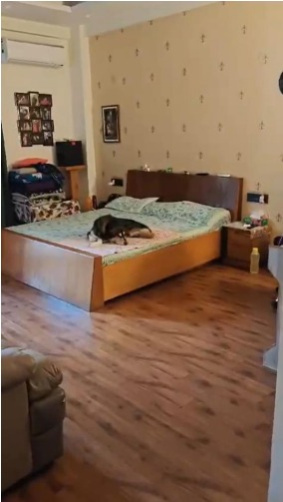 5 BHK 3500 Sq.ft. Builder Floor for Sale in Sector 49 Gurgaon