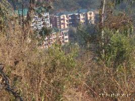 1 BHK Flat for Sale in Barog, Solan