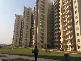 4 BHK Flat for Rent in Safdarjung Enclave, Delhi