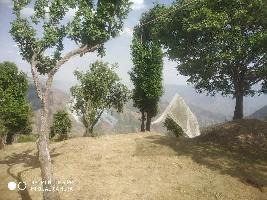  Agricultural Land for Sale in Chail, Solan
