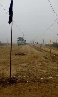  Residential Plot for Sale in Asaoti, Faridabad