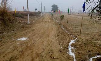  Residential Plot for Sale in Asaoti, Faridabad