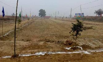  Residential Plot for Sale in Ballabhgarh, Faridabad