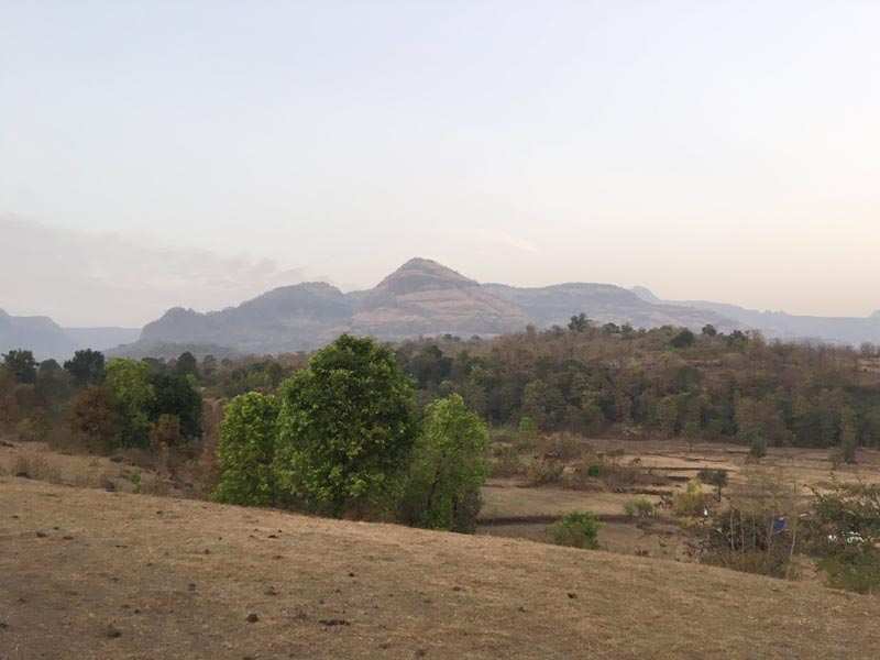 Agricultural Land 11000 Sq.ft. for Sale in Alibag, Raigad