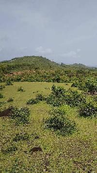  Agricultural Land for Sale in Gokarna, Uttara Kannada