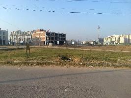  Commercial Land for Sale in Sector 117 Mohali