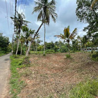  Residential Plot for Sale in Kodungallur, Thrissur