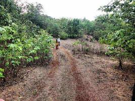  Agricultural Land for Sale in Turner Road, Mumbai