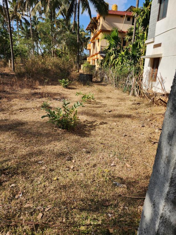  5 Guntha Residential Plot for Sale in Sirsi, Uttara Kannada